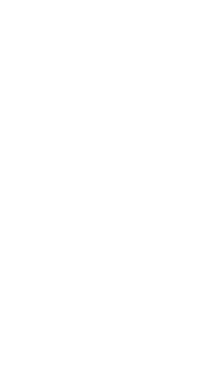 White Facebook icon.