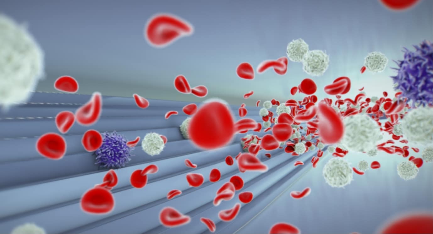 A graphic representation of CTC harvesting in action