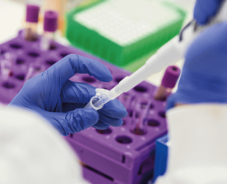 A medical professional harvesting cells in a laboratory setting