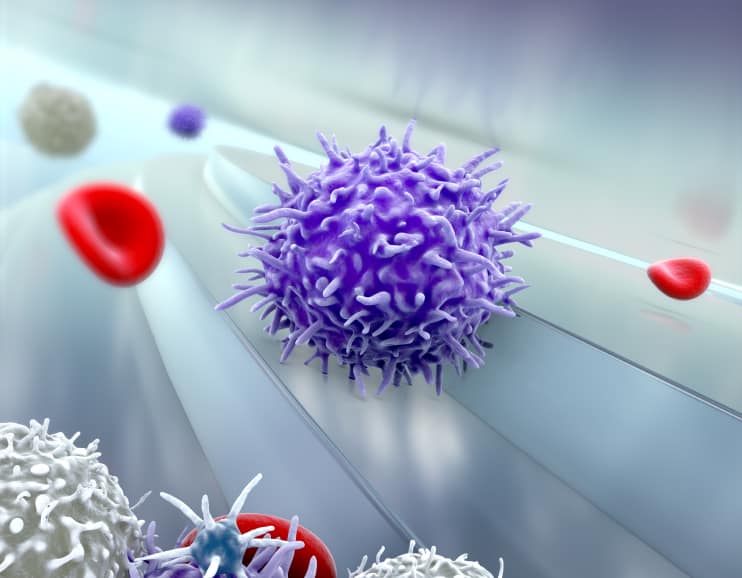 A graphic representation of CTC harvesting in action