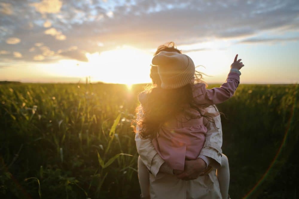 Lesson 4: Meaning and purpose: My role