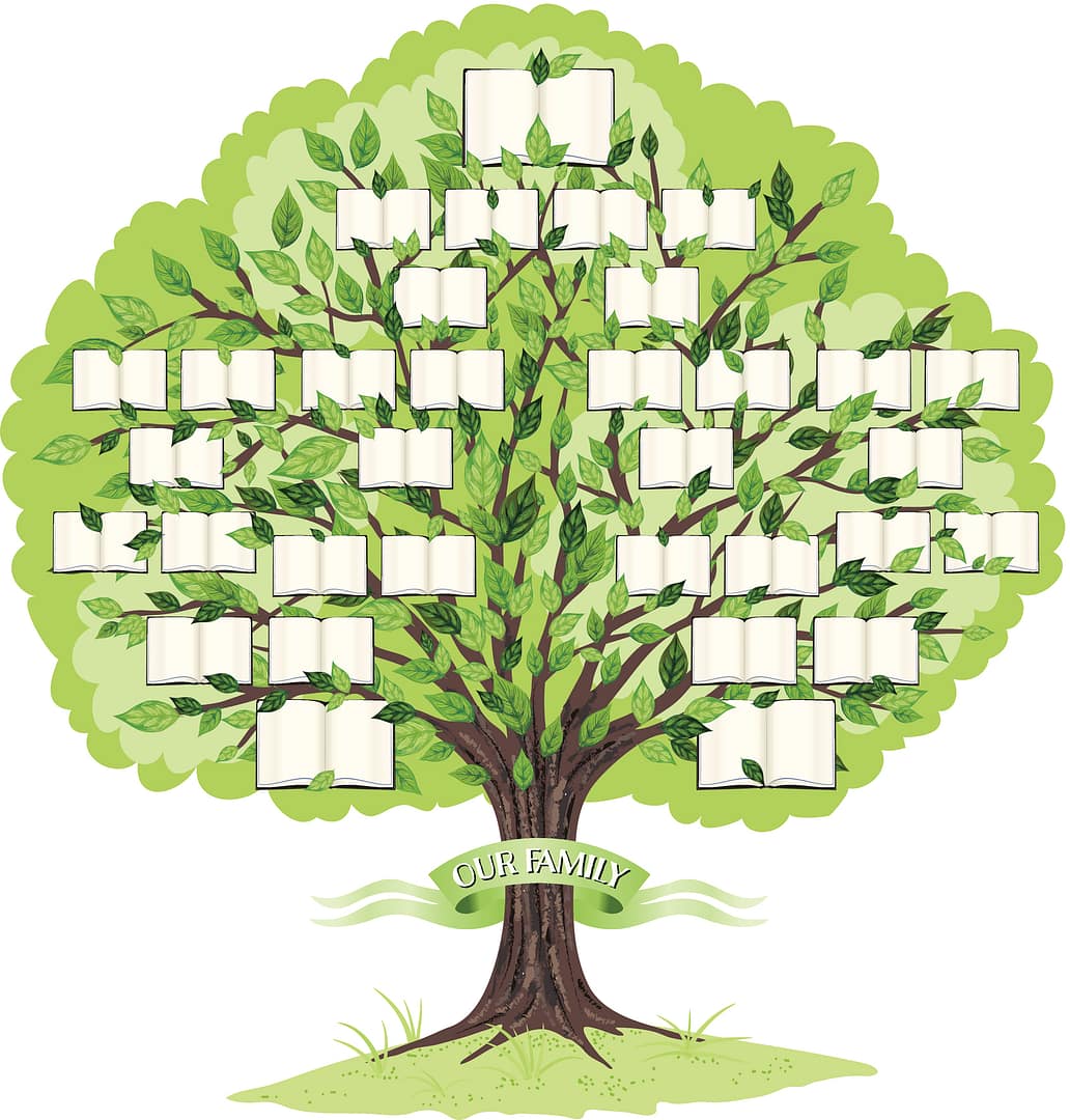 Lesson 2: A French family tree