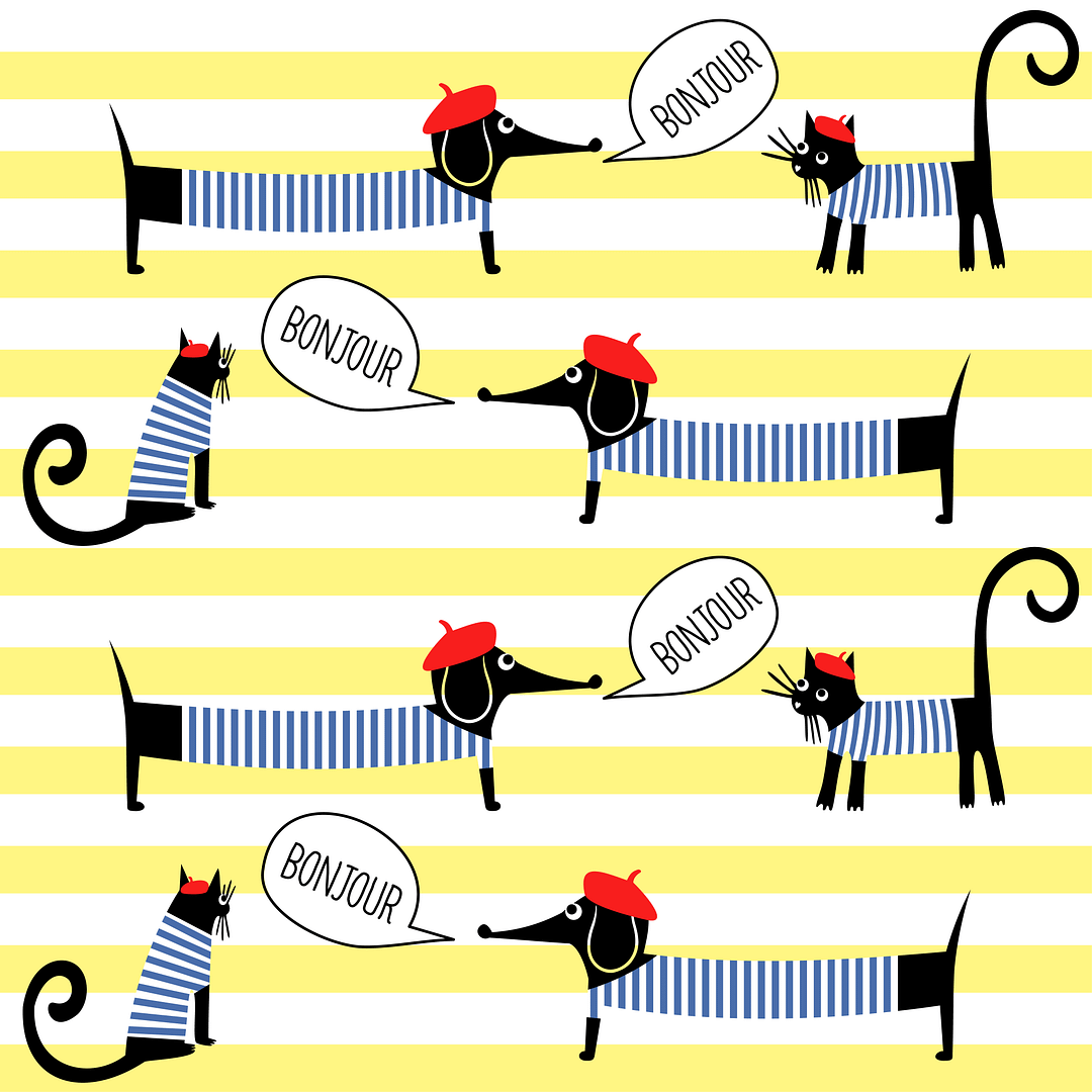 Lesson 1: French greetings