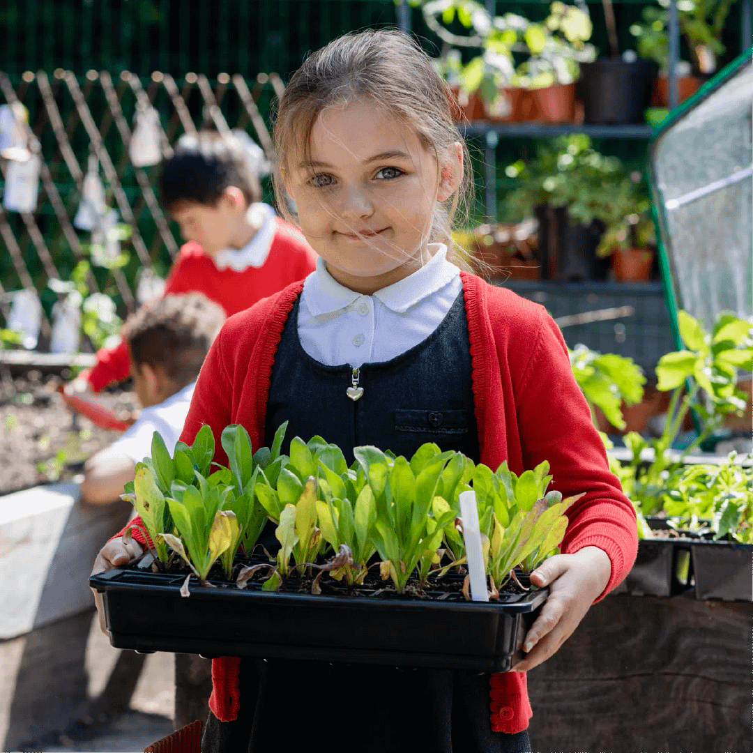 A smiling young girl in a school uniform holding a tray of plants in the school garden