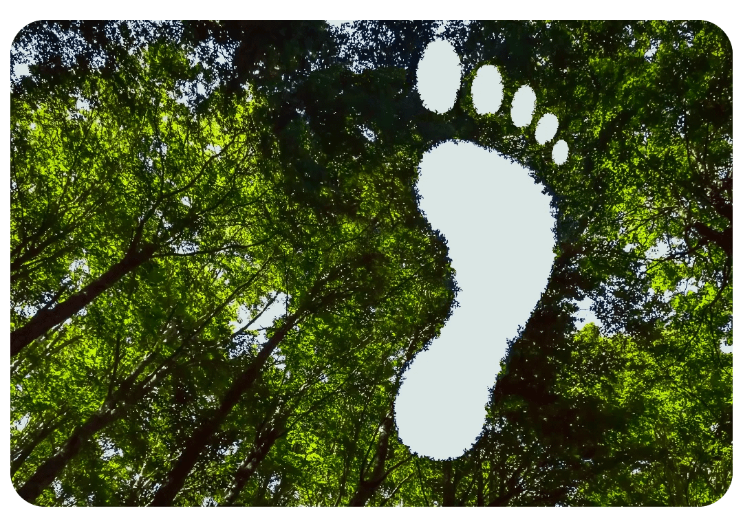 Green forest canopy with a footprint silhouette cut-out symbolising environmental impact and carbon footprint.