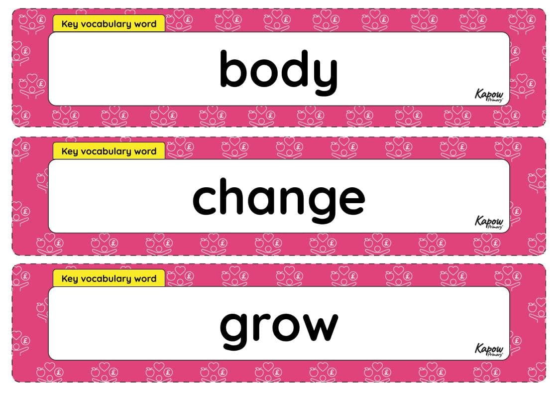 Vocabulary display – RSE & PSHE Y2: How can we look after and respect our bodies?