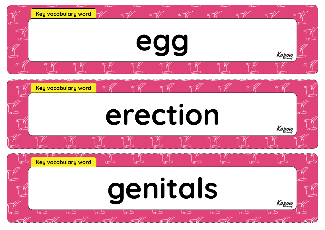 Vocabulary display – RSE & PSHE Y5: How can I manage the changes to my body and emotions as I grow up?