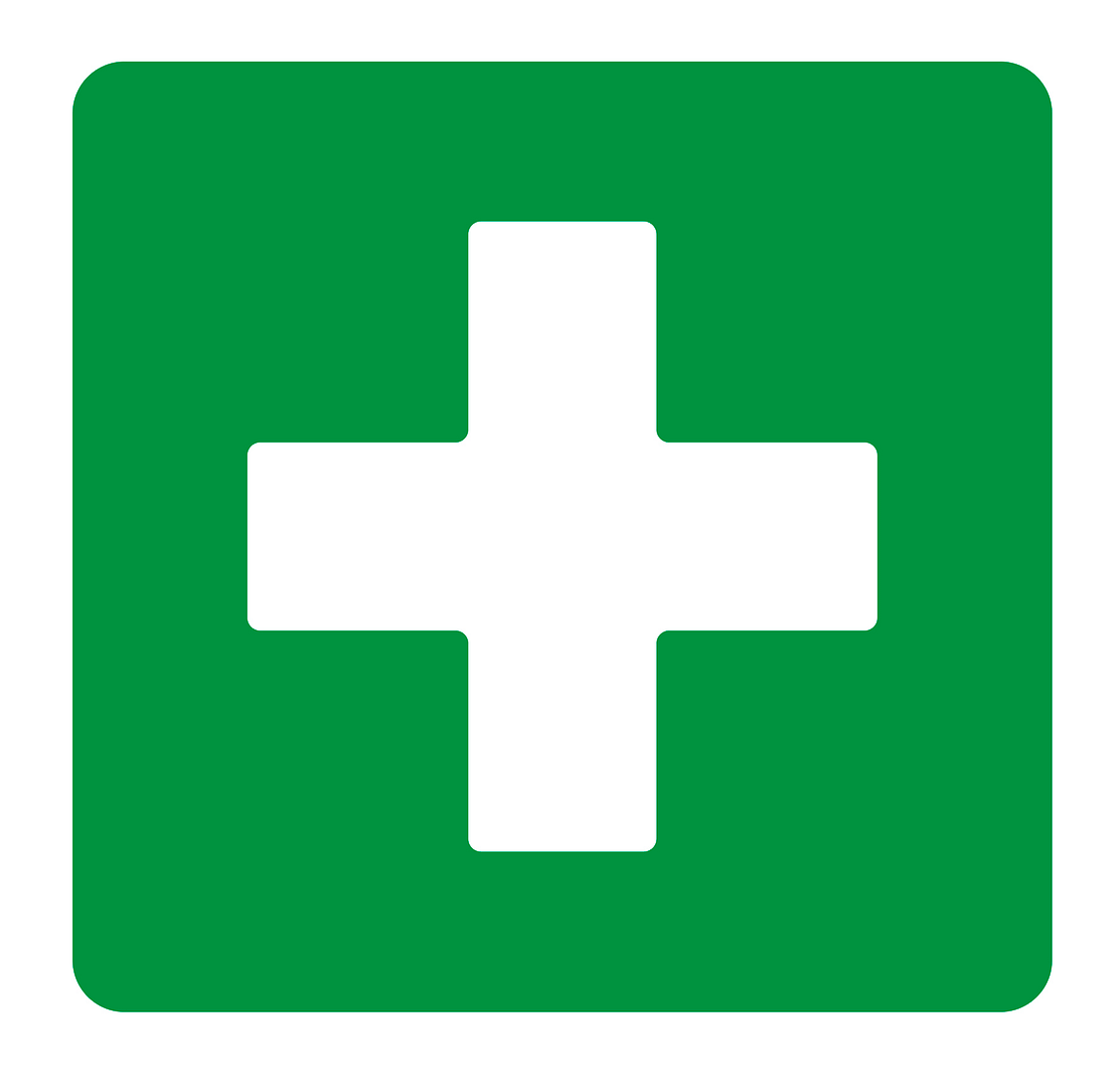 Lesson 2: First Aid: bites and stings