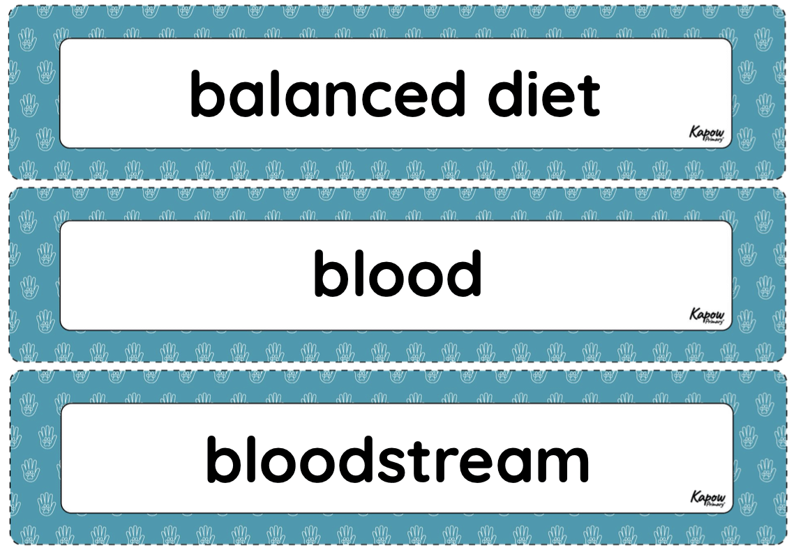 Vocabulary display: Circulation and health