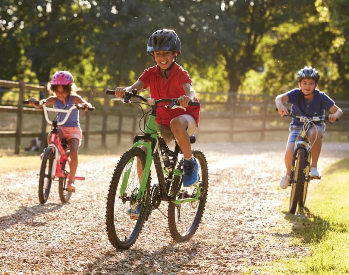 Lesson 3: Protecting the planet