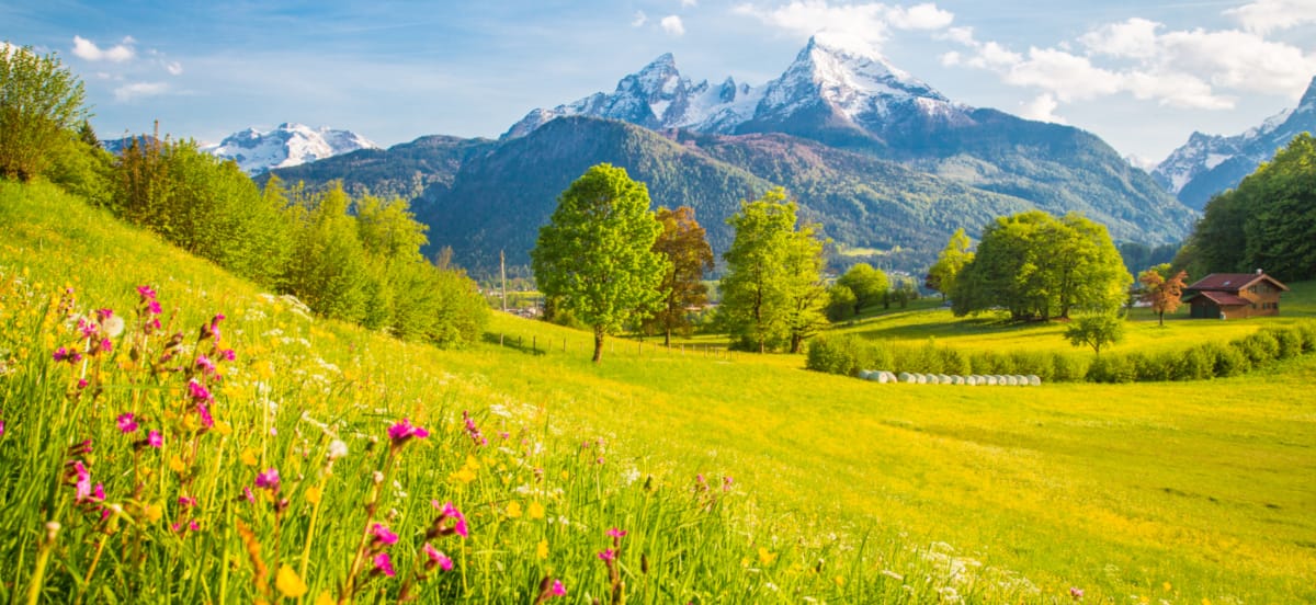 Our beautiful planet