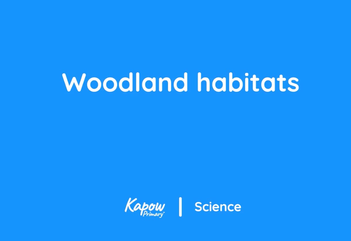 Pupil video: Woodland habitats