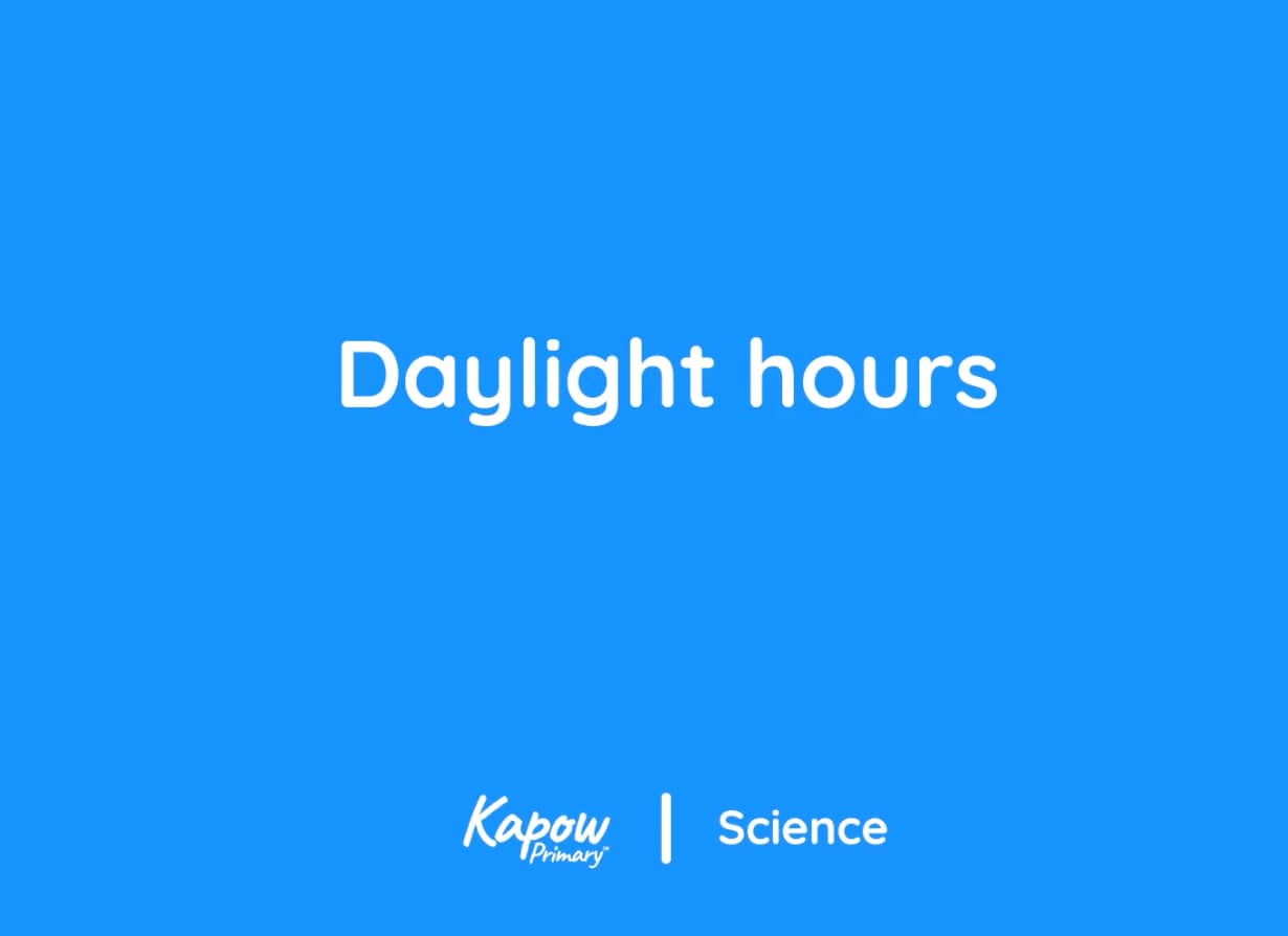 Pupil video: Daylight hours