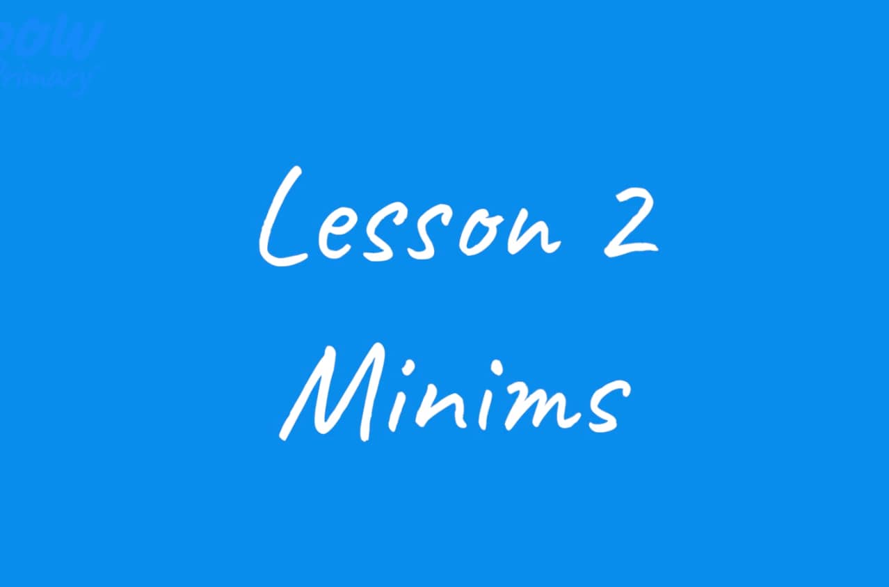 Teacher video: South Africa – minims
