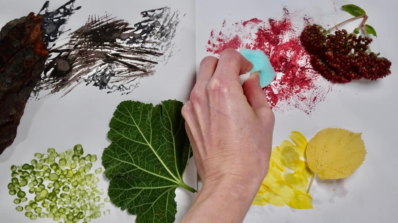 Lesson 2: Texture hunt