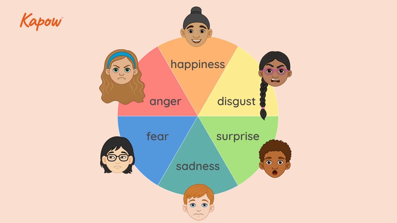 Pupil video: What are emotions?