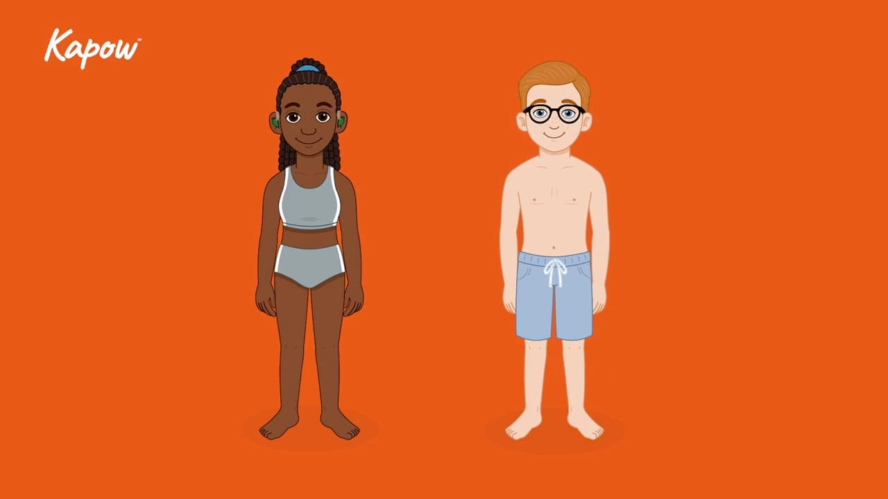 Pupil video: Naming body parts