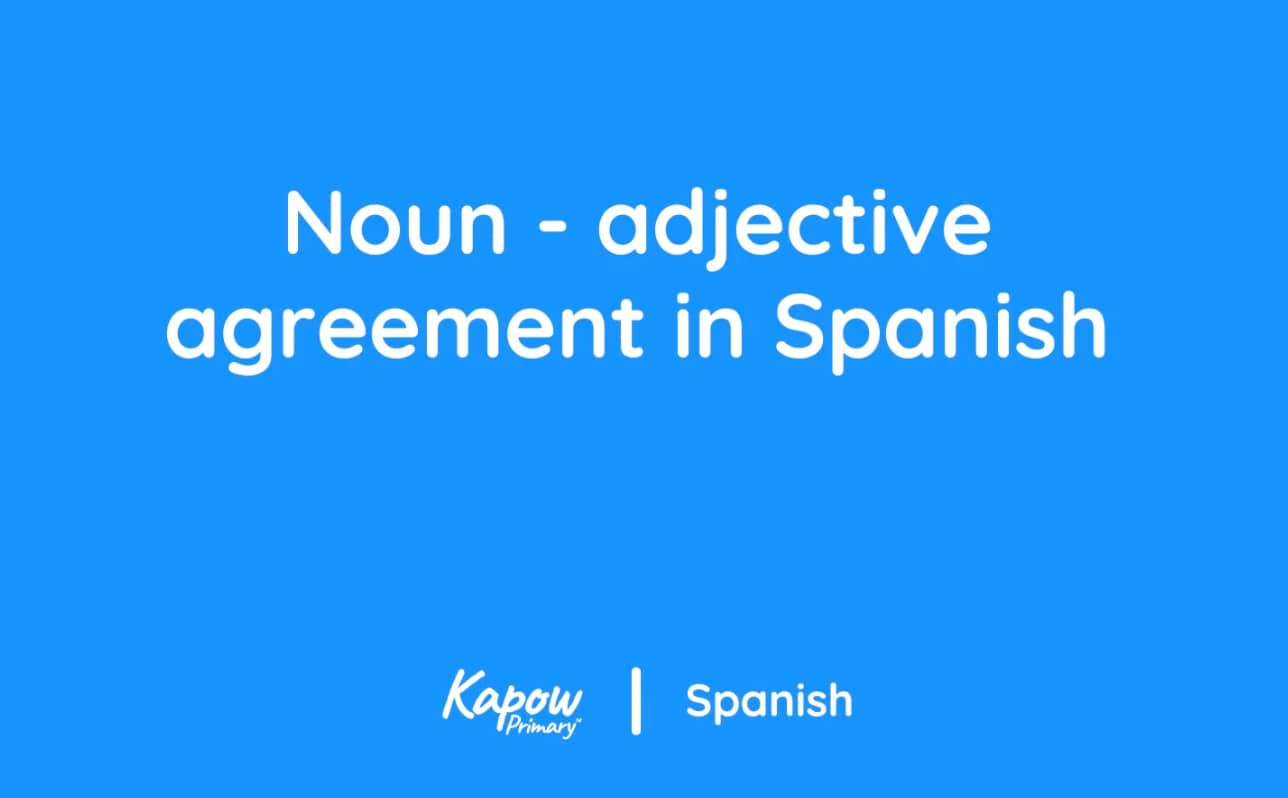 Teacher video: Noun-adjective agreement
