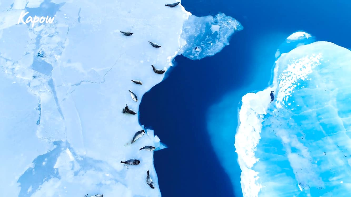 Pupil video: Earth’s big challenges