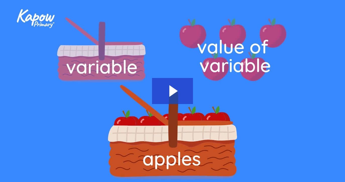 Teacher video: Variables