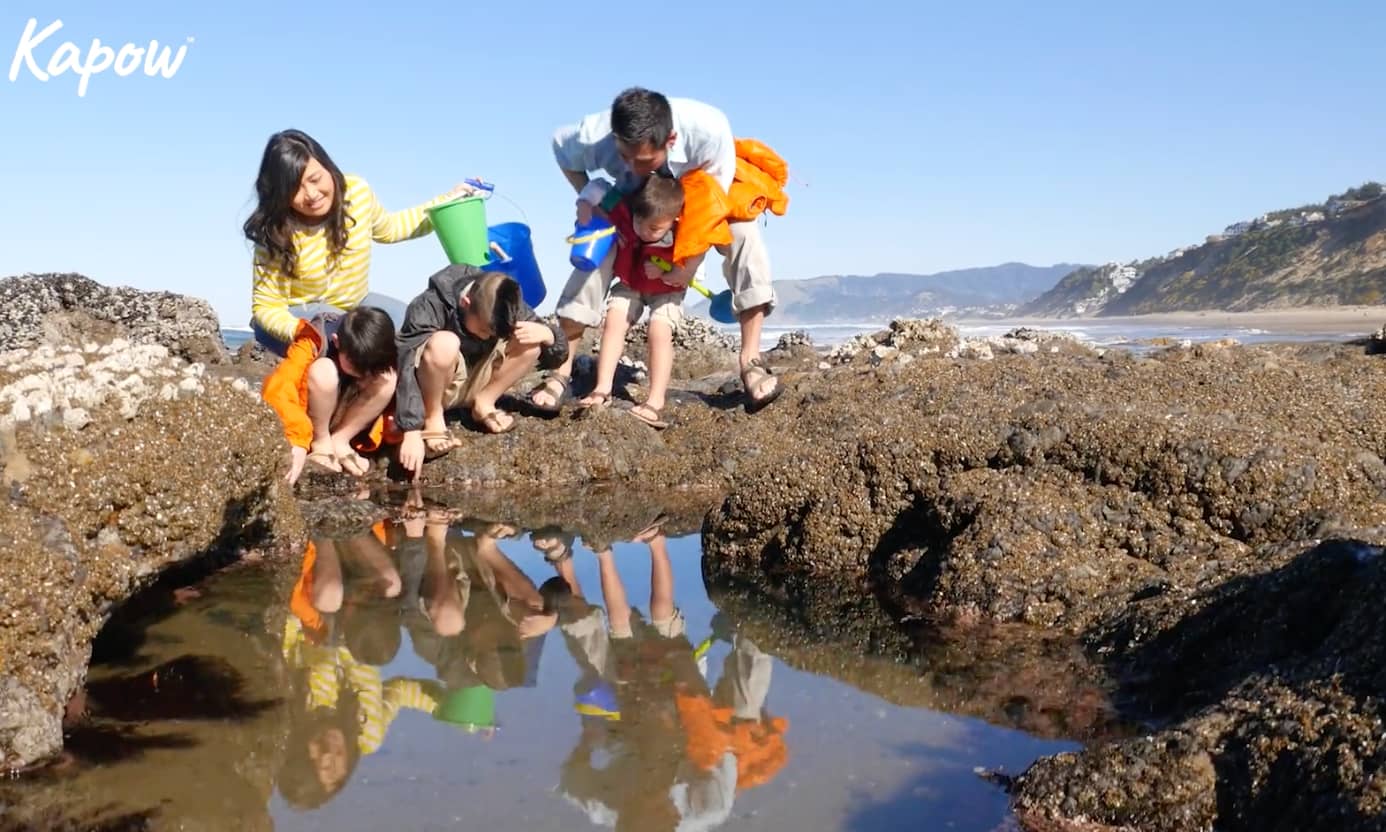 Pupil video: Rock pools