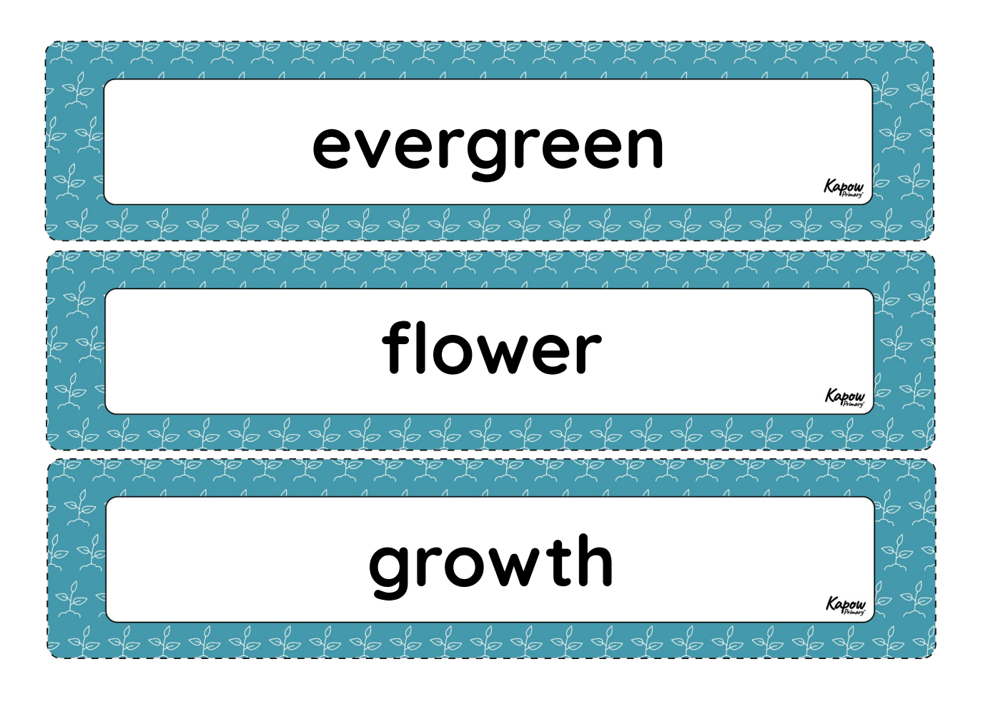 Vocabulary display: Introduction to plants