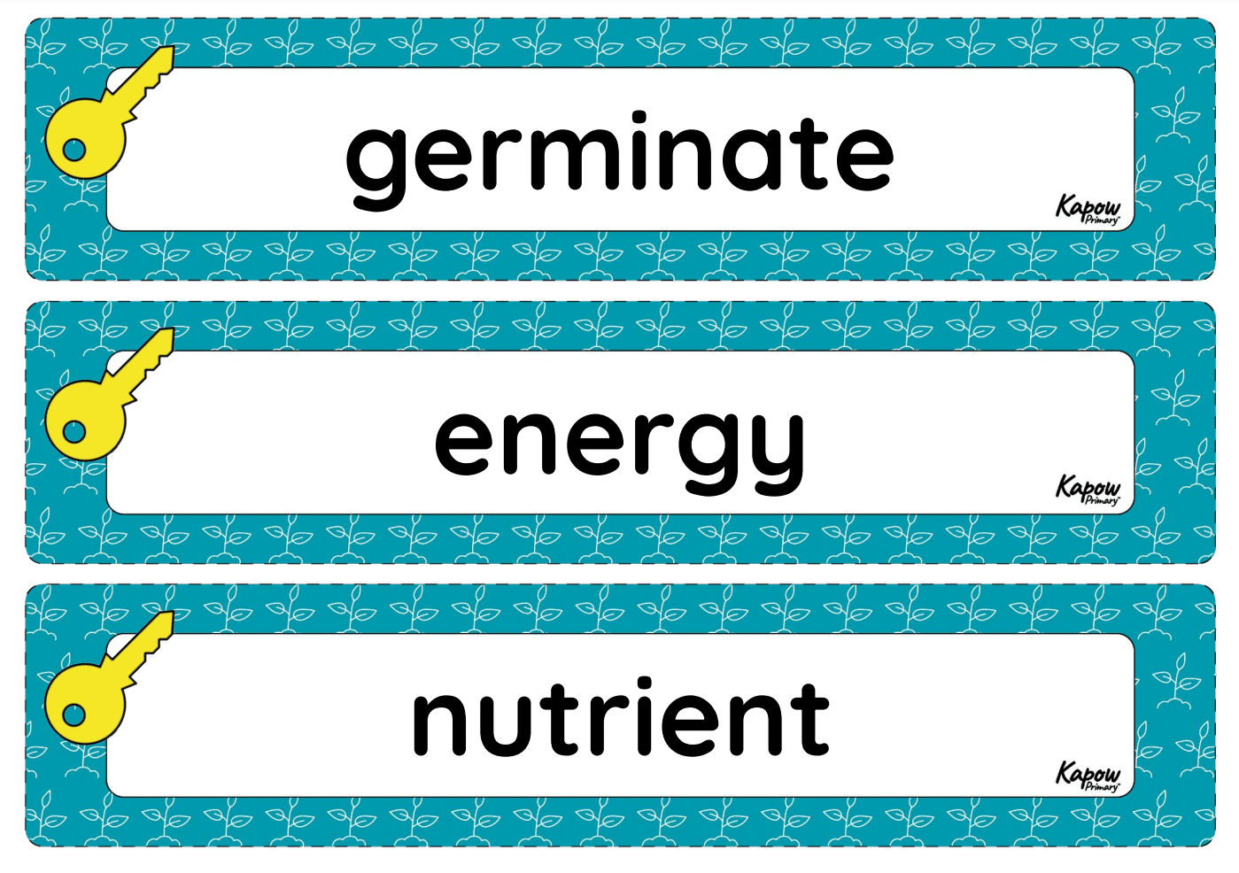 Vocabulary display: Plant growth