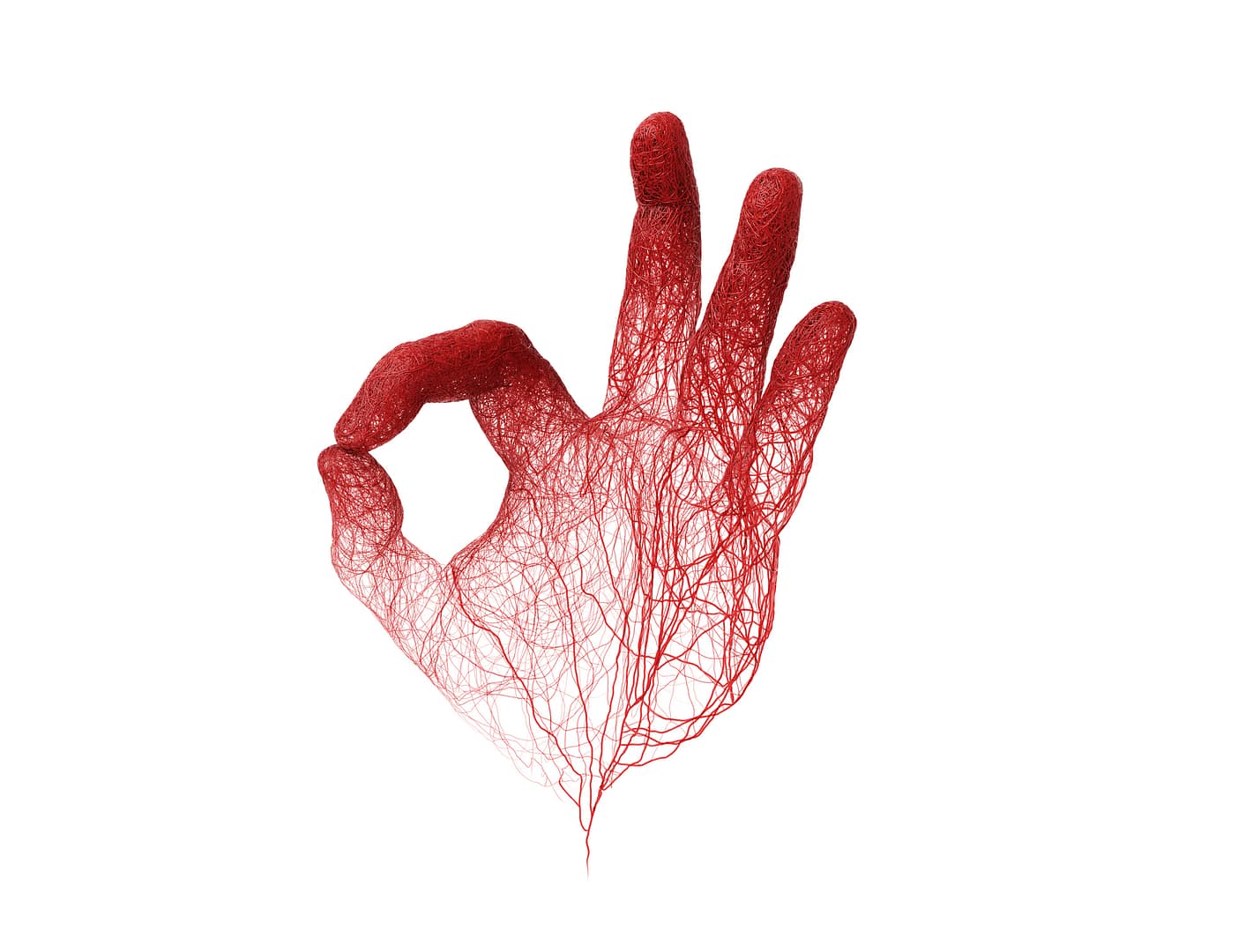 Lesson 3: Blood