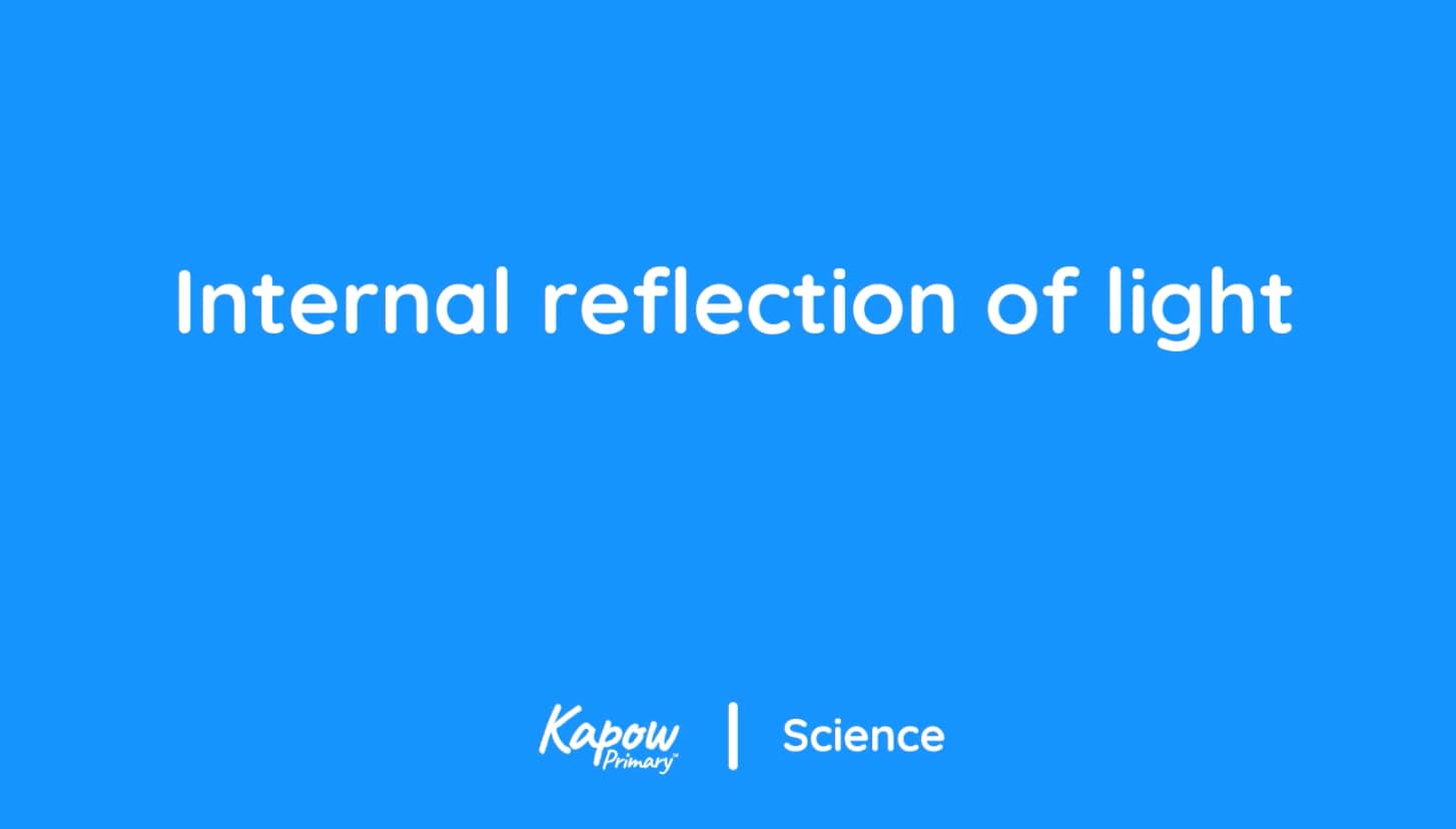 Pupil video: Internal reflection of light