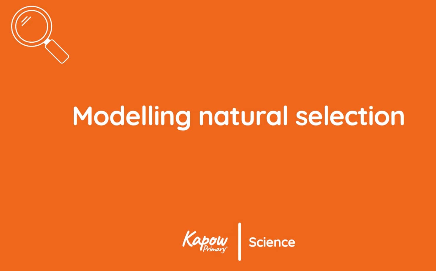 Pupil video: Modelling natural selection
