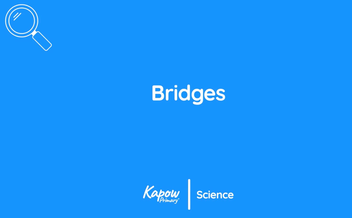 Pupil videos: Bridges