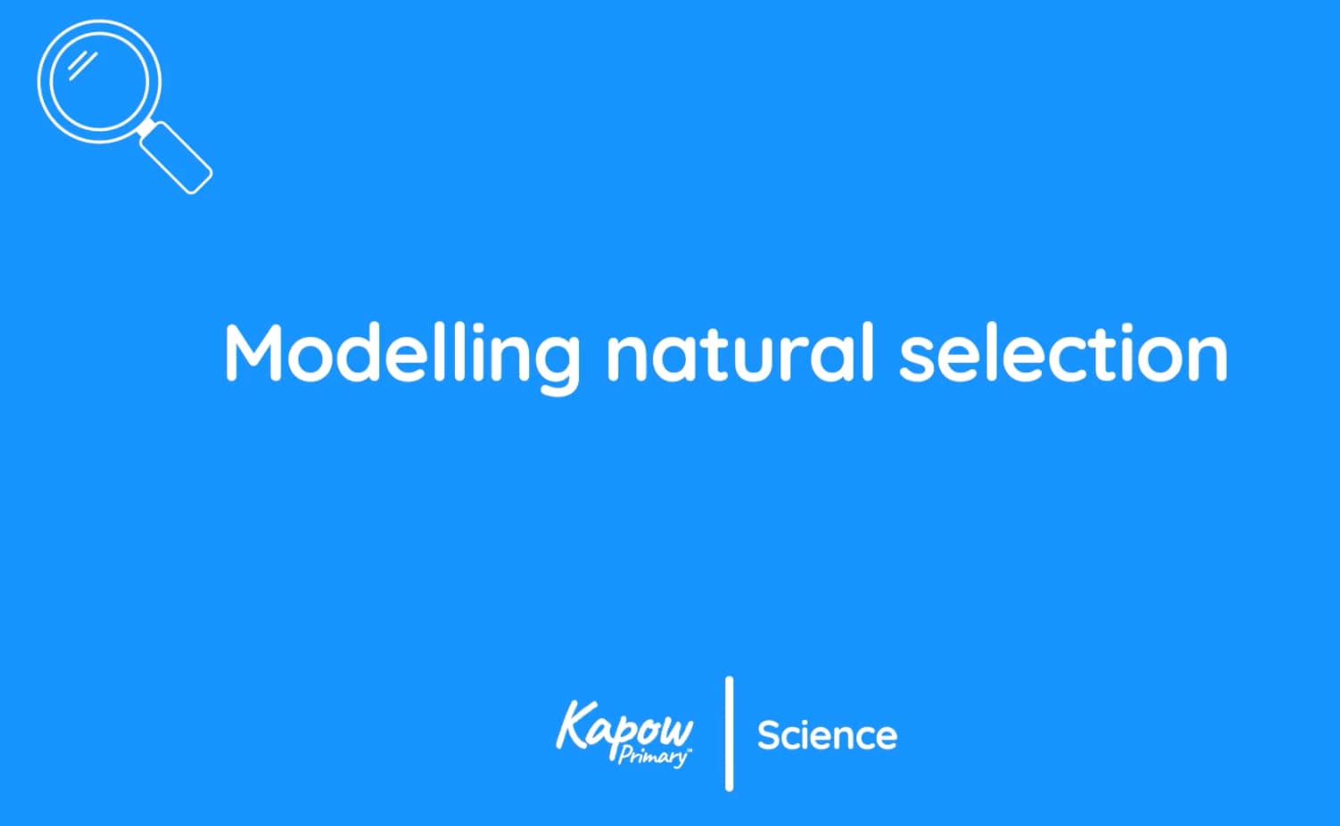 Teacher video: Modelling natural selection