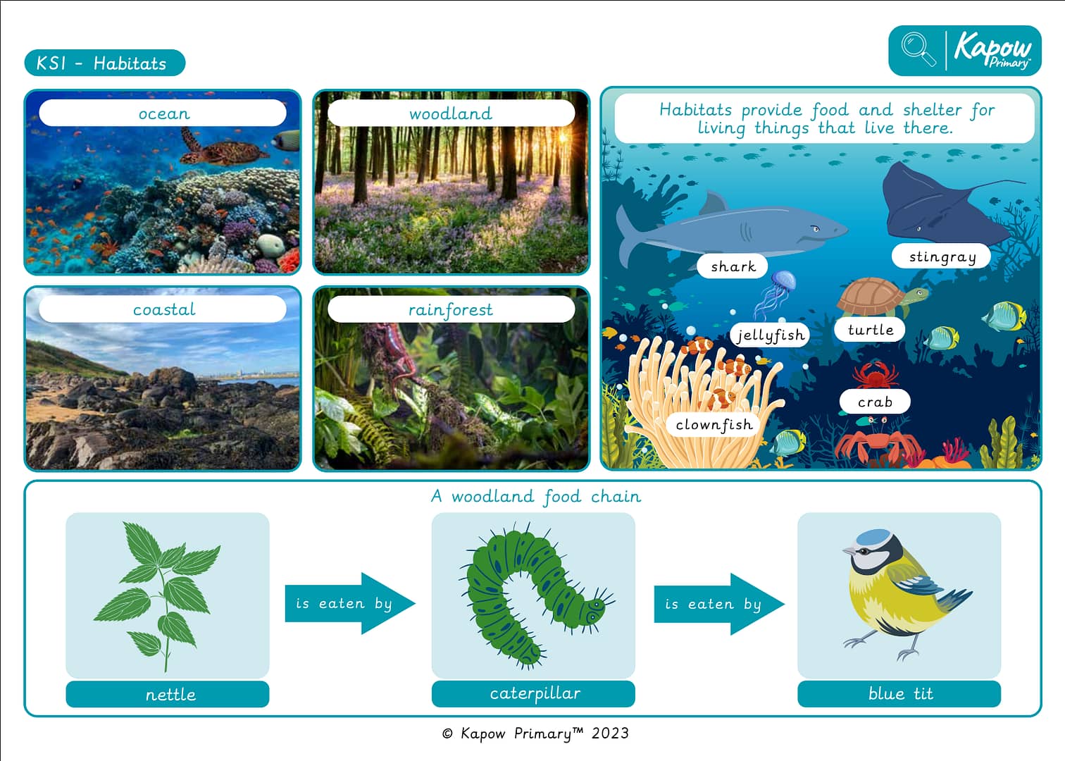 Knowledge organiser: Science – Y2 Habitats