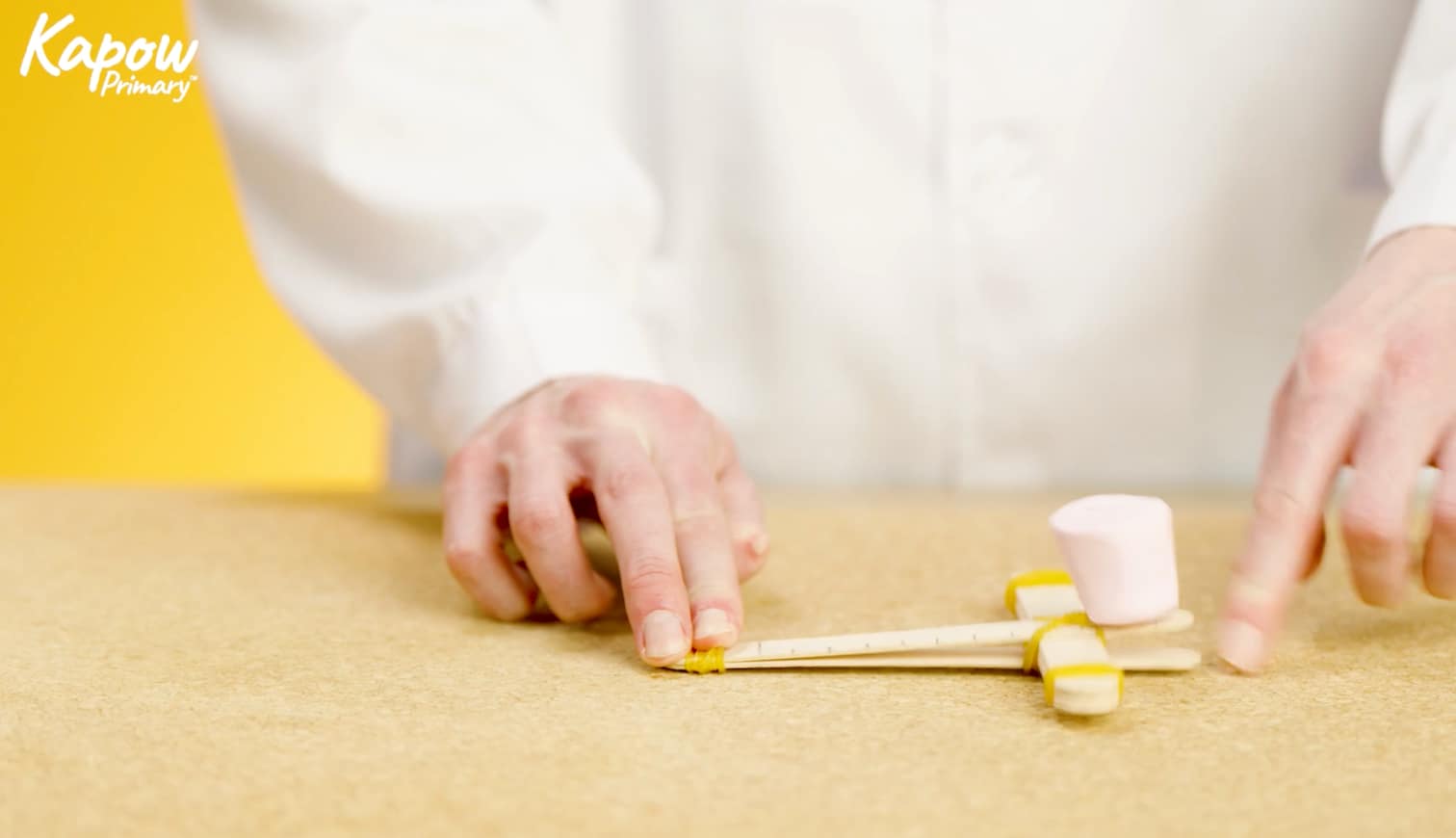 Pupil video: Making a catapult