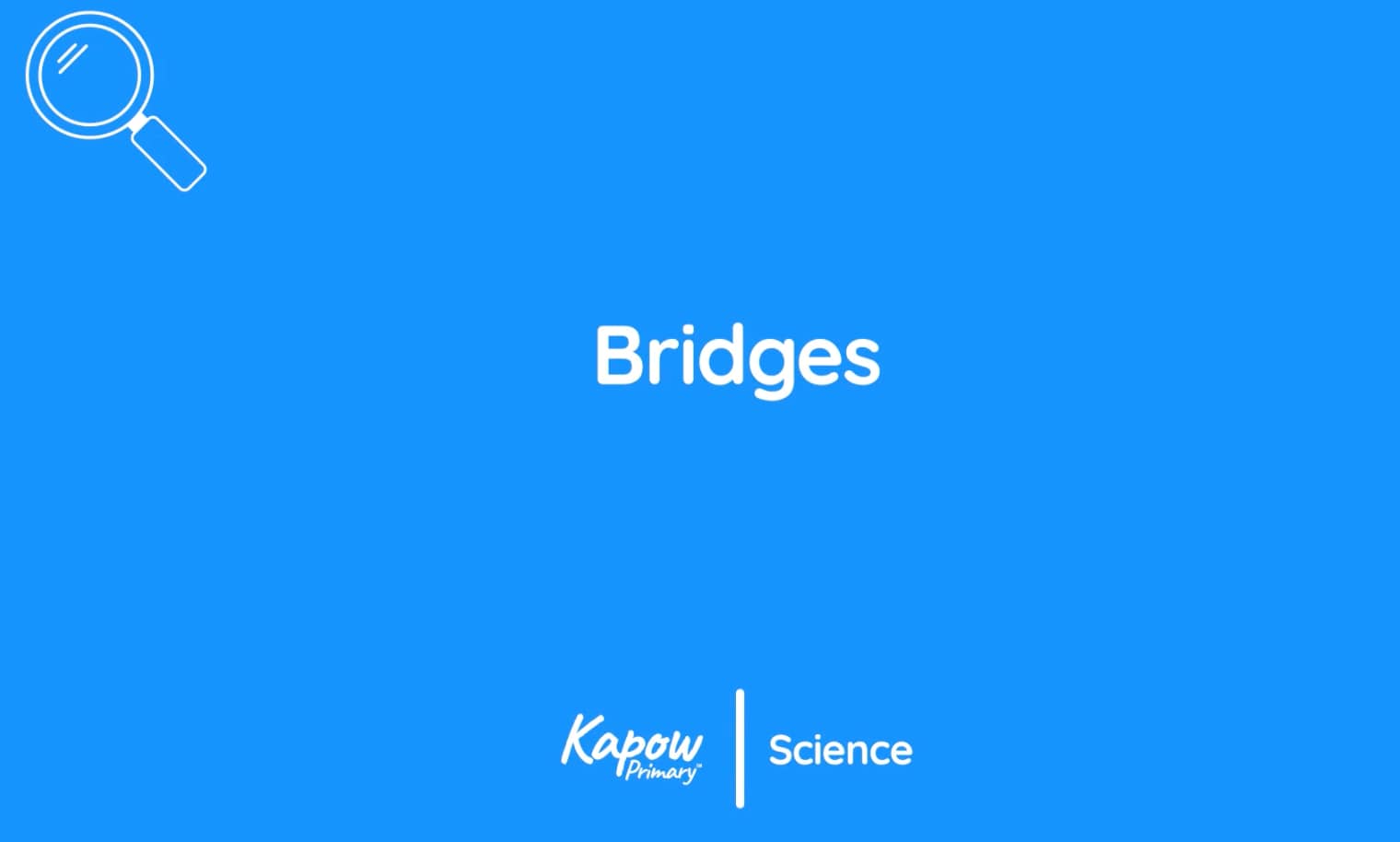 Pupil video: Bridges