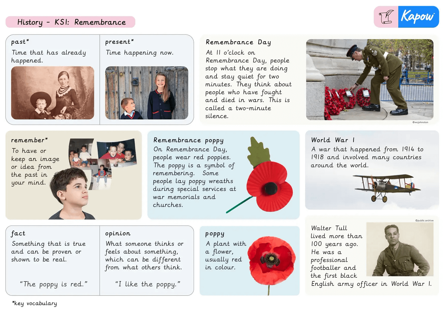 Knowledge organiser: Remembrance KS1