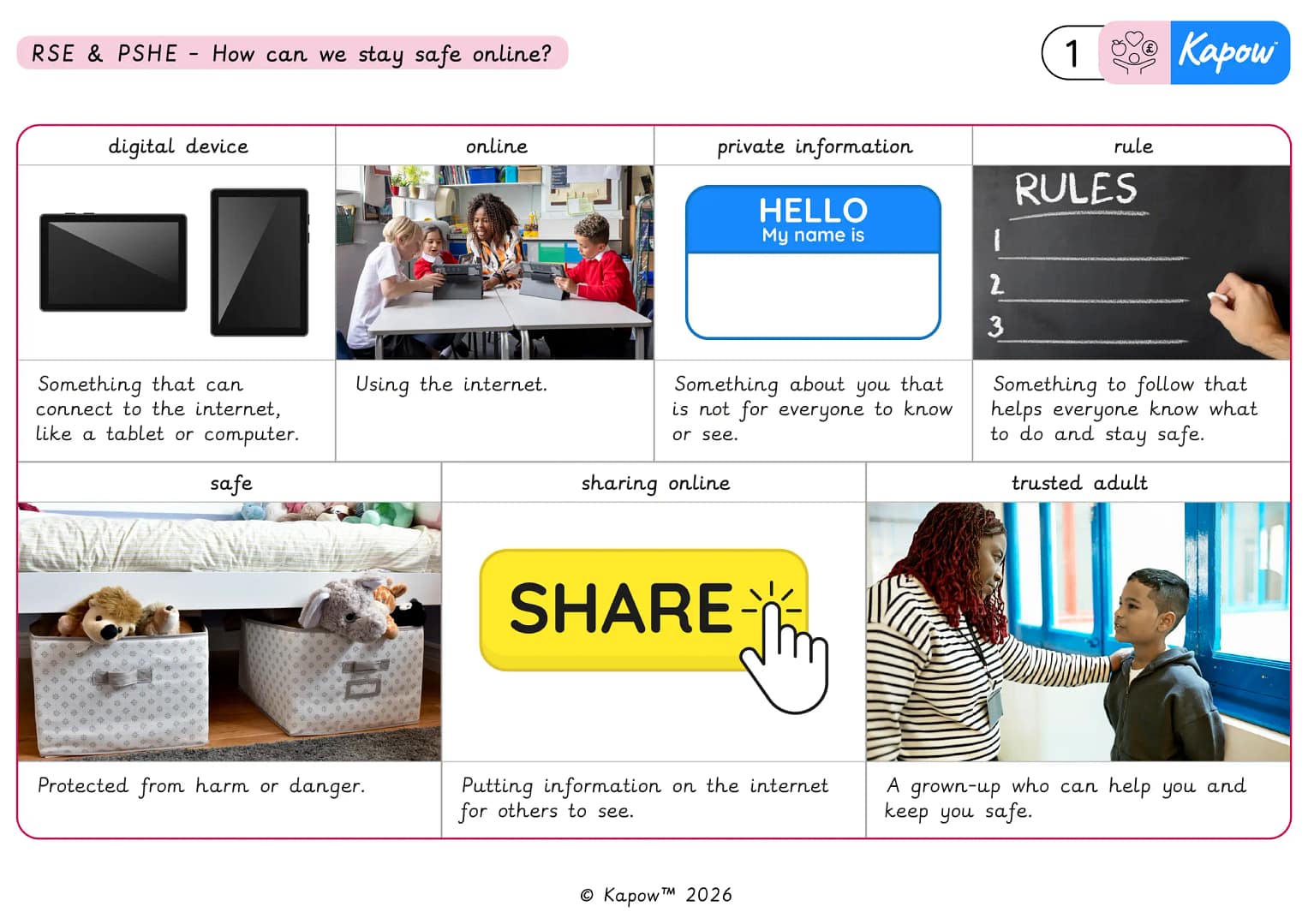 Knowledge organiser – Y2 Online world