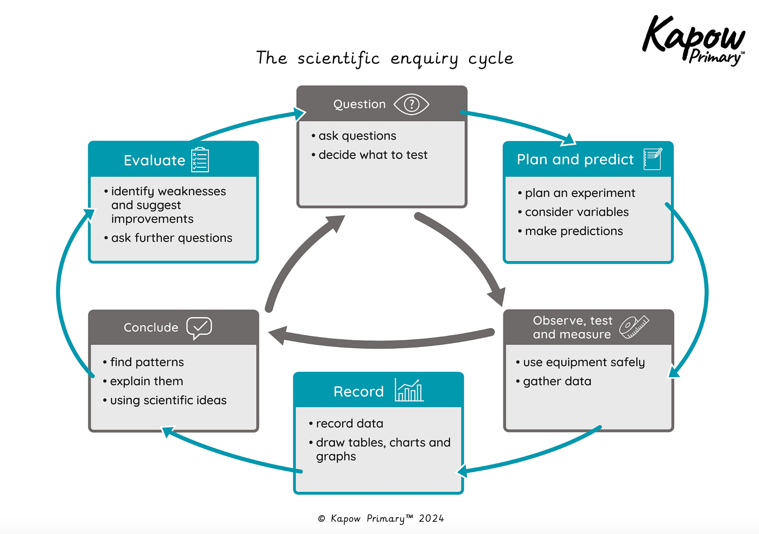 Working scientifically: Enquiry cycle (simplified for pupils)