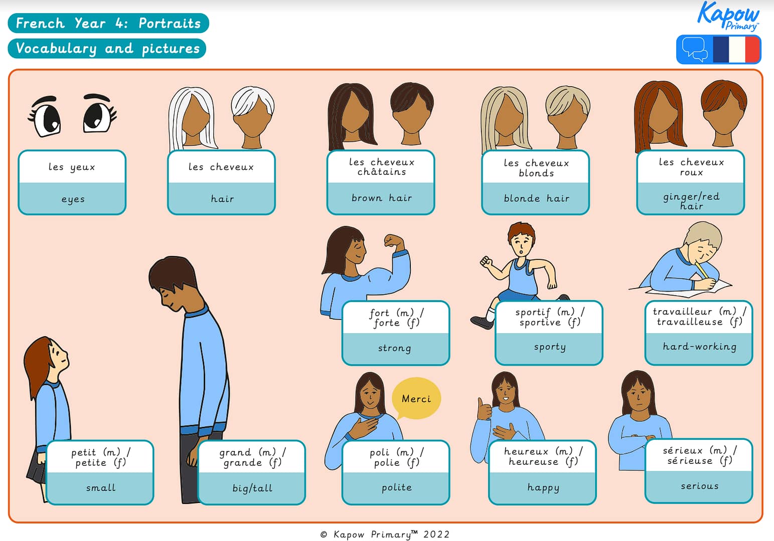 Knowledge organiser: French – Y4 Portraits – describing in French