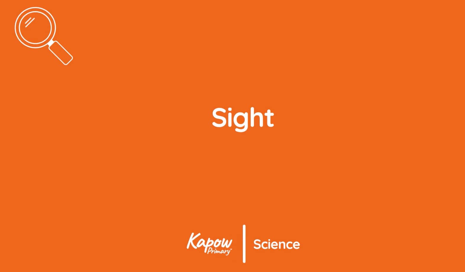 Pupil video: Sight