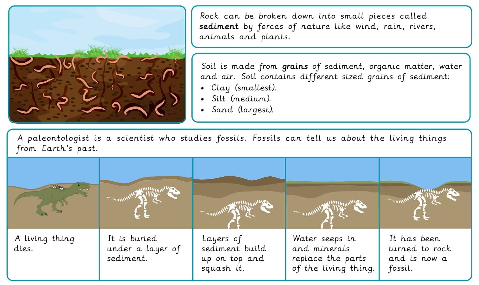 Knowledge organiser: Science – Year 3 Rocks and soil