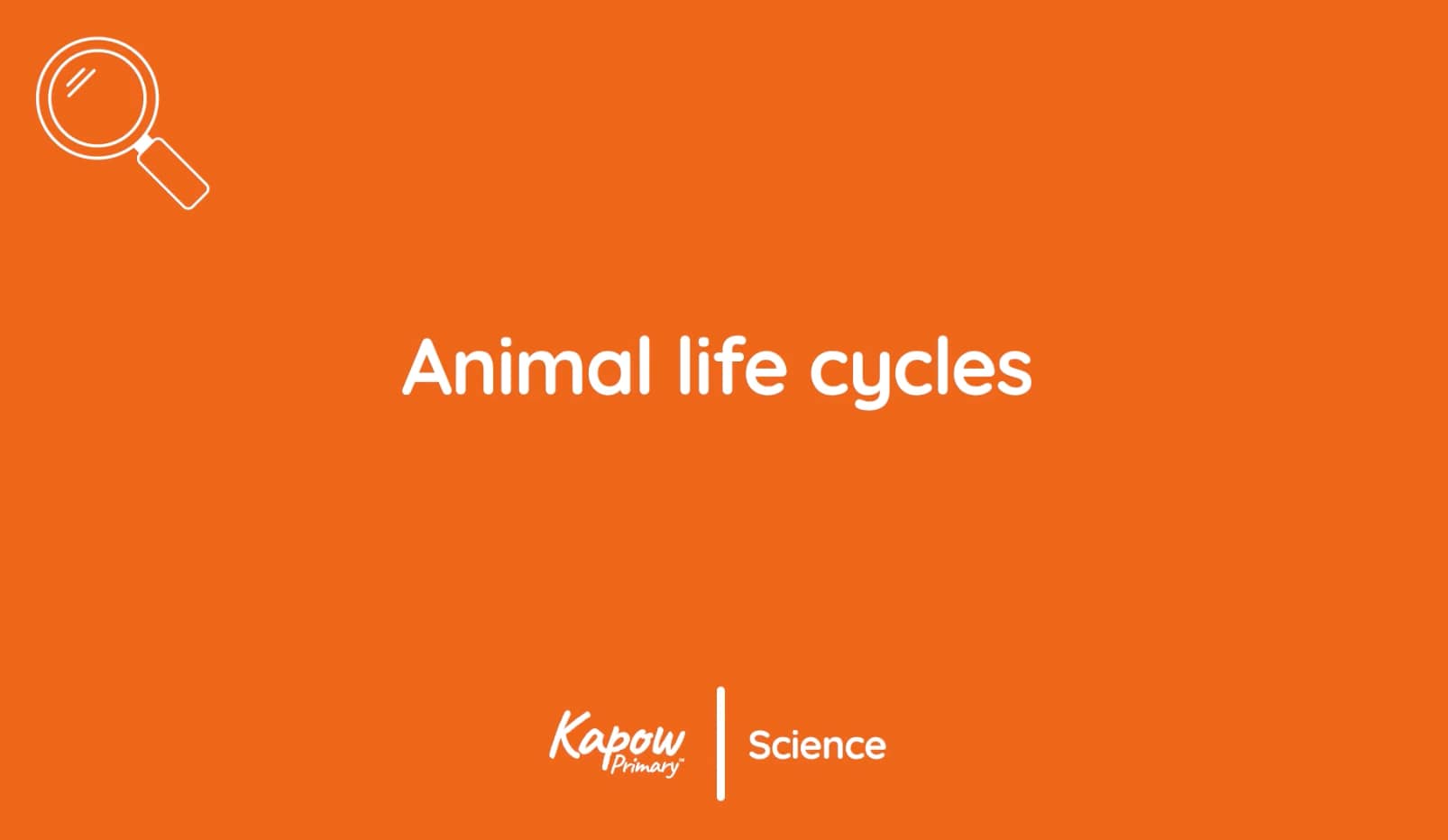 Pupil video: Animal life cycles