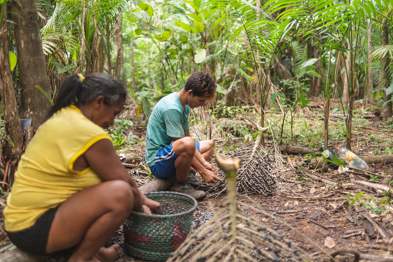 Why are rainforests important to us?