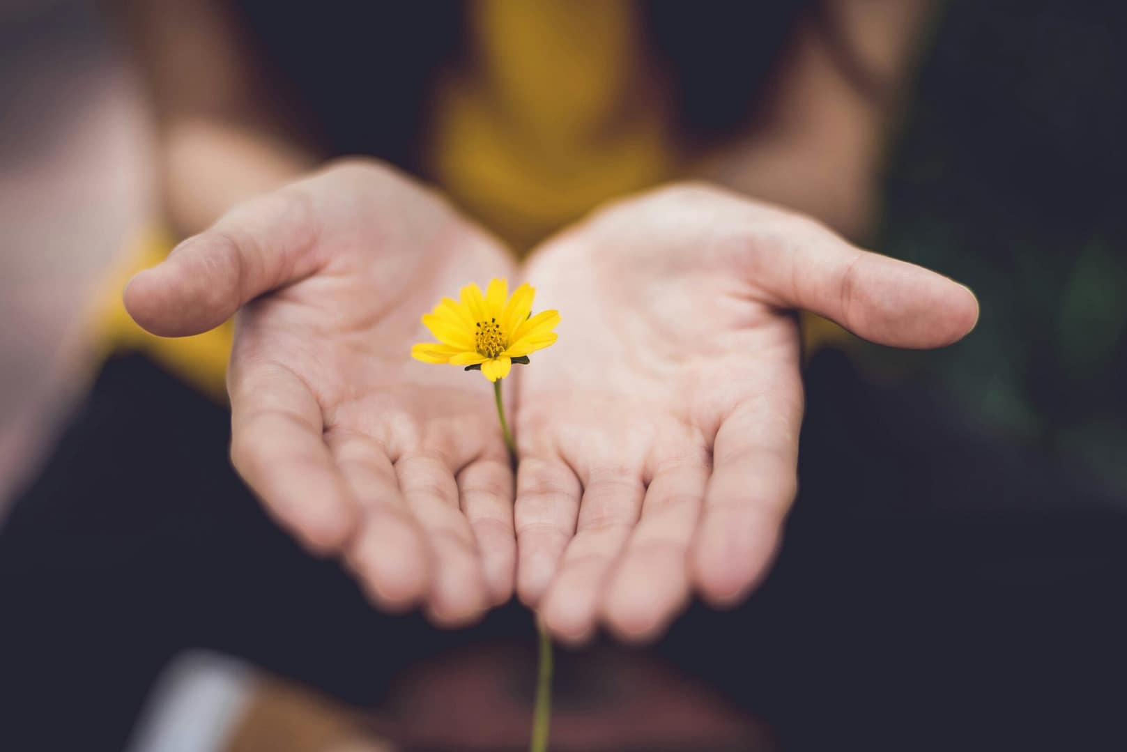 Lesson 1: What can suffering teach us about happiness?