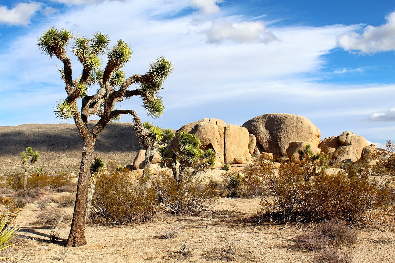 Lesson 3: What physical features are found in a desert?