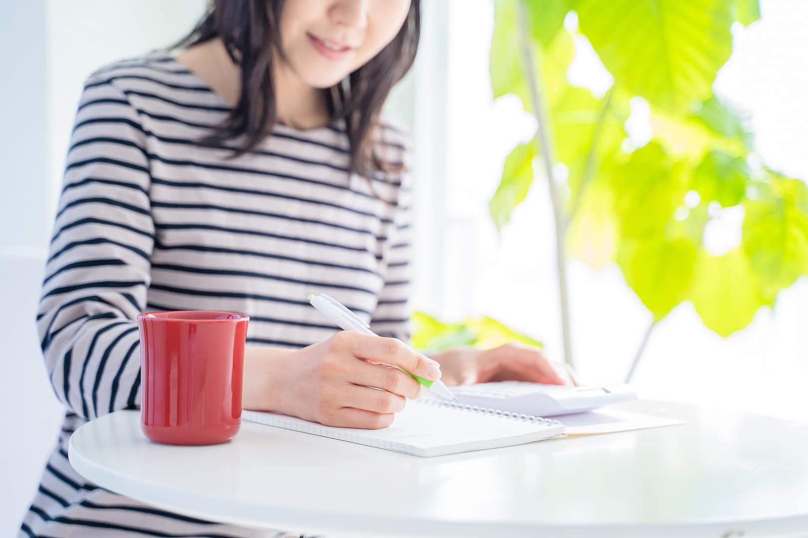 Lesson 2:  What is a weekly budget?