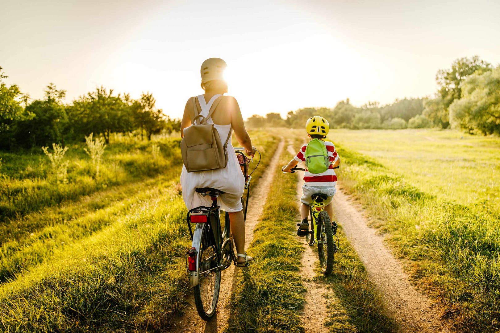 Lesson 3: What are the different types of physical activity and how do they affect us?