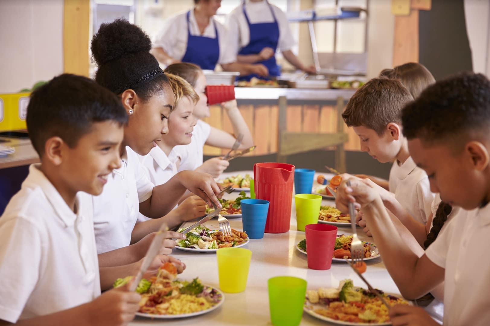 Lesson 6: Healthy diet
