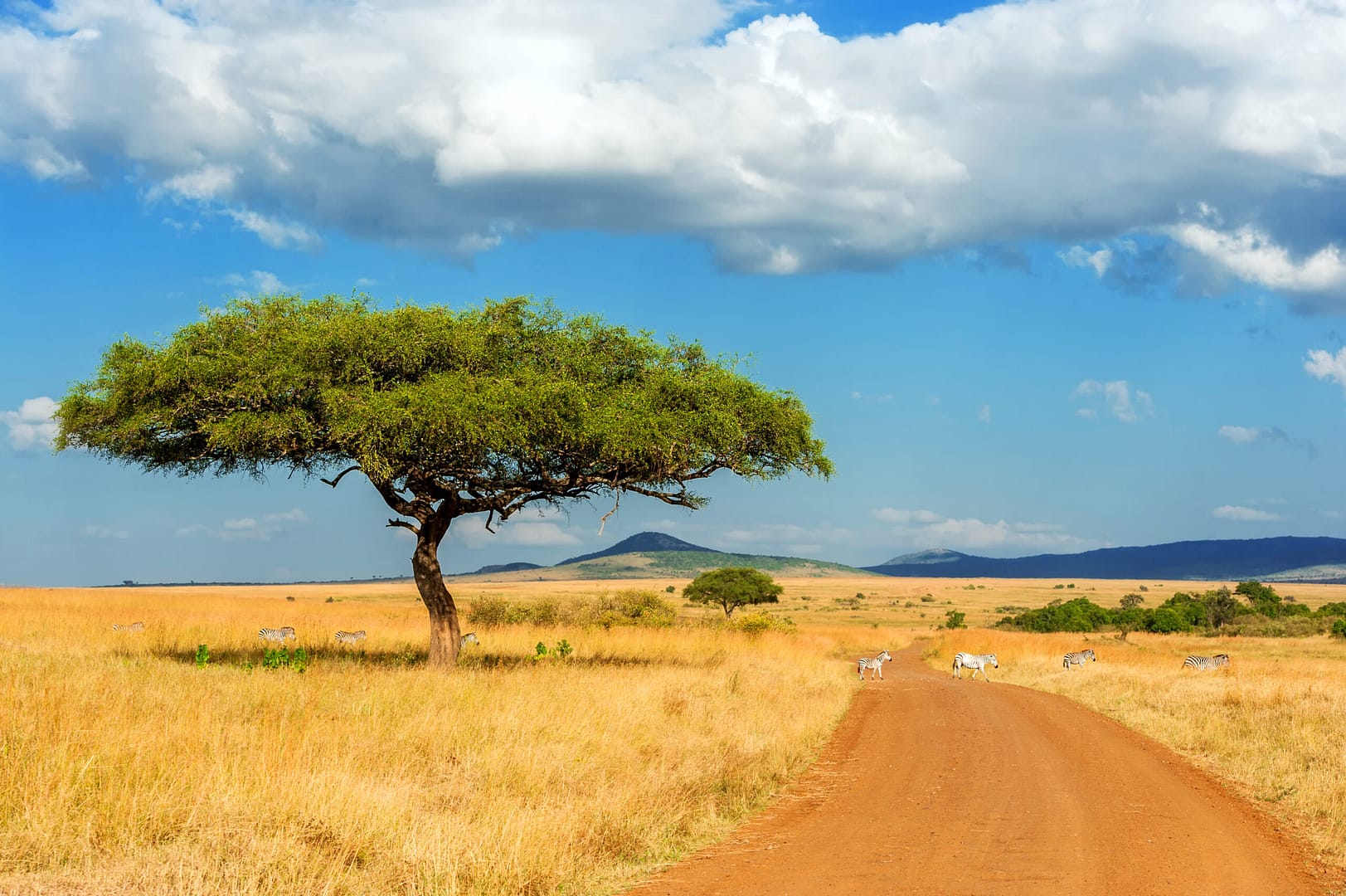 Lesson 4: What is life like in a hot place?
