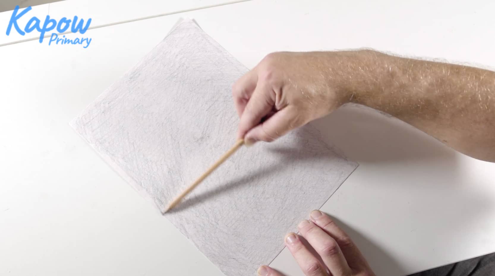 Teacher video: Negative medium still life